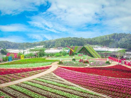 du lịch đà lạt