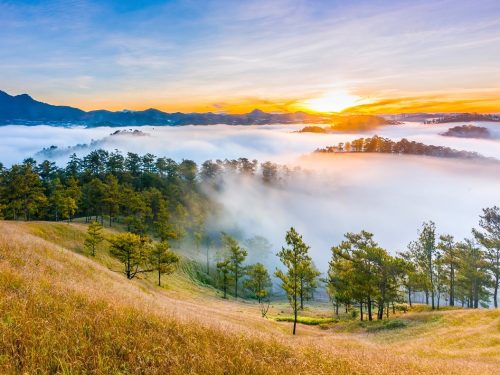 Tour Du Lịch Đà Lạt 3 Ngày 2 Đêm